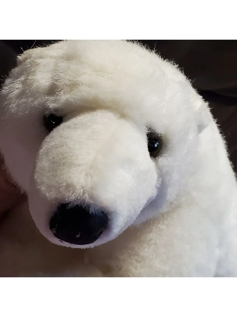 Seaworld polar all